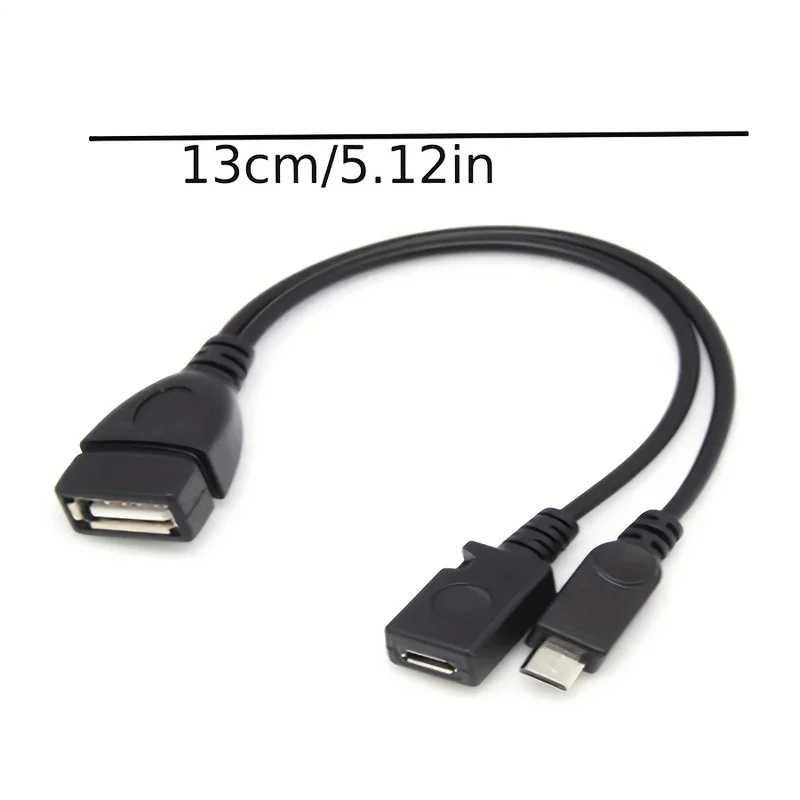 2-in-1 OTG USB to Micro USB Sp - đánh giá và giá Tablet Tech Accessories